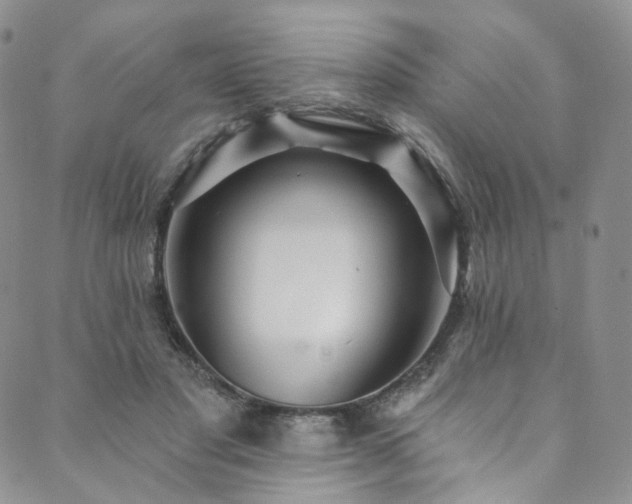 X0000089900501200706281451