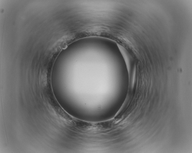 X0000089900504200706281451