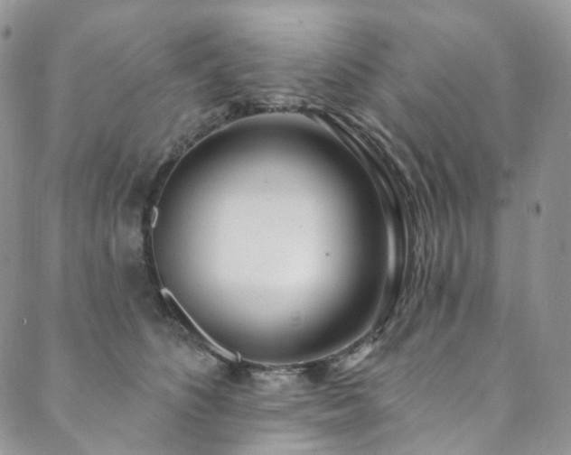 X0000089900516200706281450