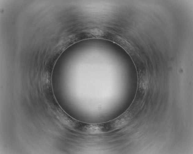 X0000089900518200706281450