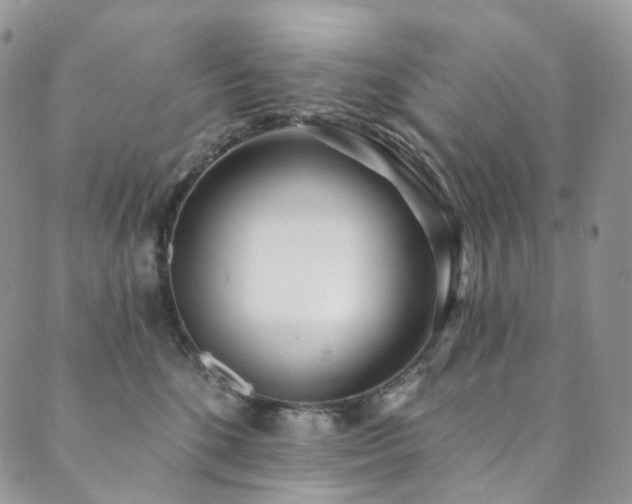 X0000089900520200706281450