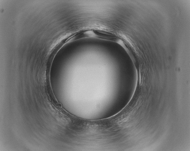 X0000089900531200706281449