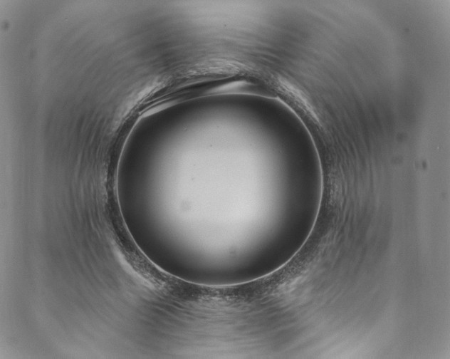 X0000089900538200706281450