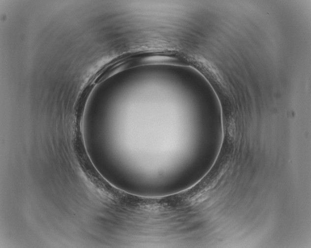 X0000089900540200706281450