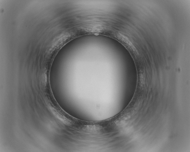 X0000089900541200706281450