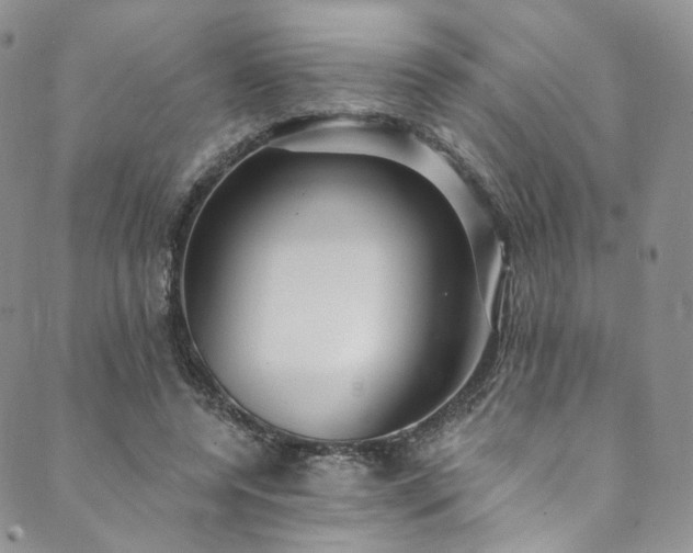 X0000089900544200706281450