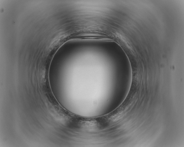 X0000089900548200706281450