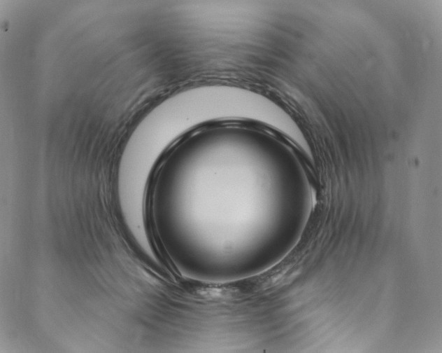 X0000089900558200706281450