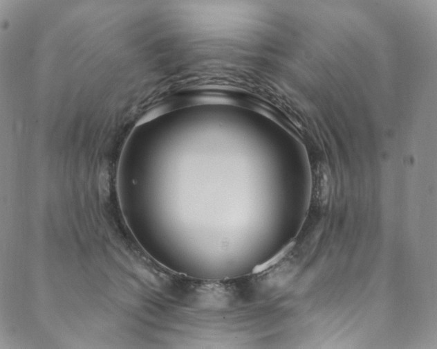 X0000089900562200706281450