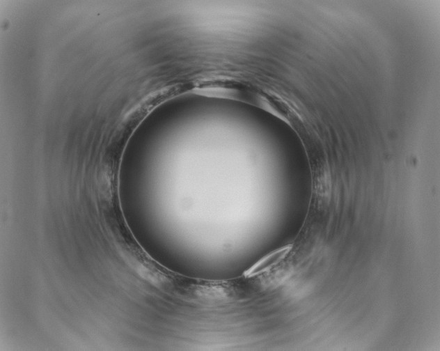 X0000089900572200706281450