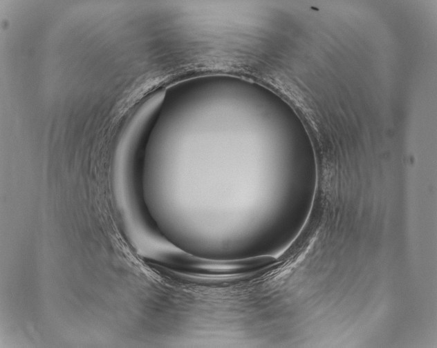 X0000089900577200706281449