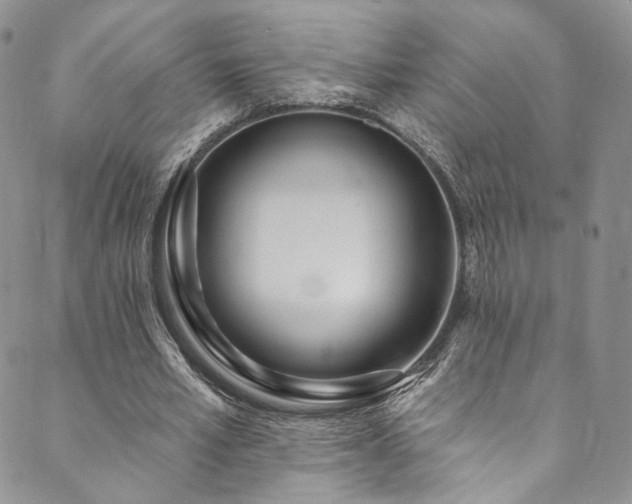 X0000089900581200706281449