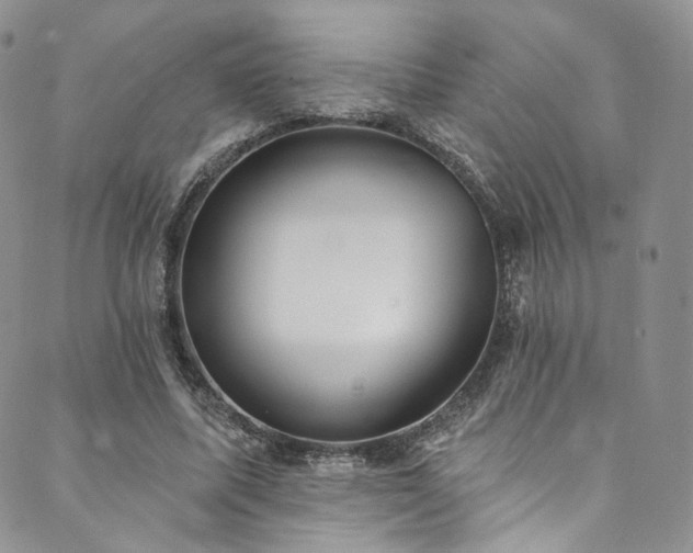X0000089900587200706281449