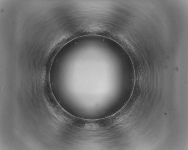 X0000089900591200706281449