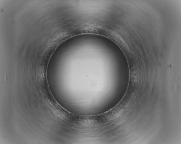 X0000089900593200706281449
