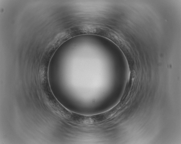 X0000089900600200706281449