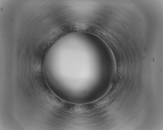 X0000089900608200706281449