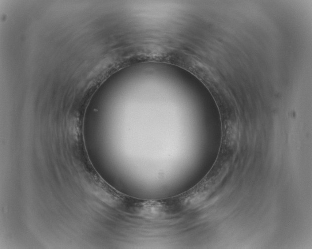 X0000089900612200706281449