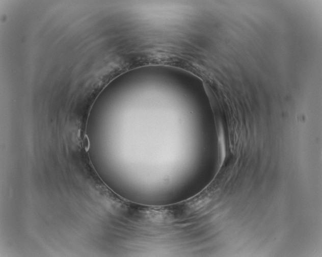 X0000089900615200706281449