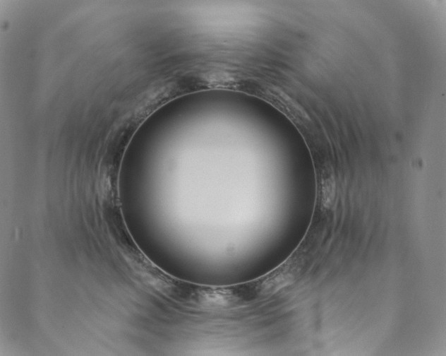 X0000089900618200706281449