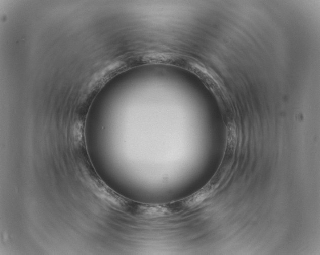 X0000089900621200706281449