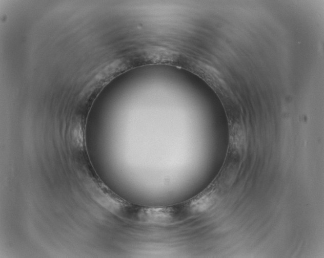 X0000089900622200706281449
