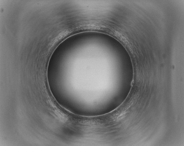 X0000089900625200706281448