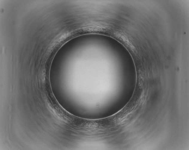X0000089900631200706281448