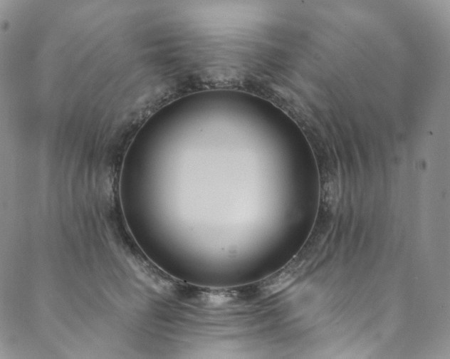 X0000089900662200706281448