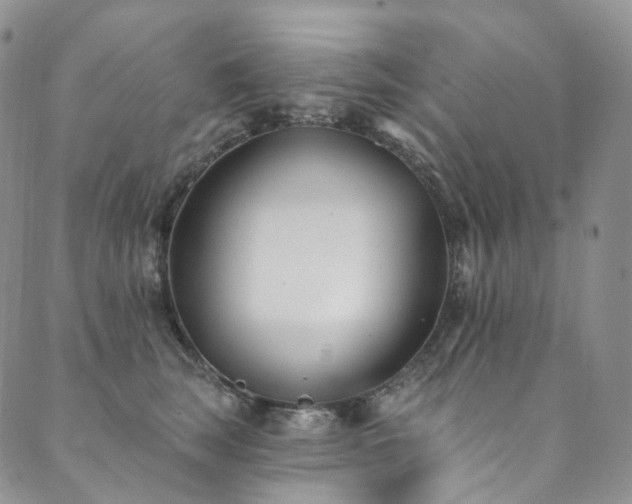 X0000089900663200706281448