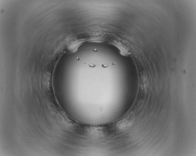 X0000089900664200706281449
