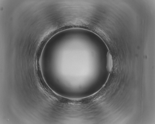 X0000089900680200706281448