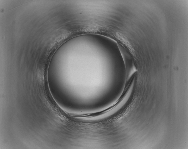 X0000089900681200706281448