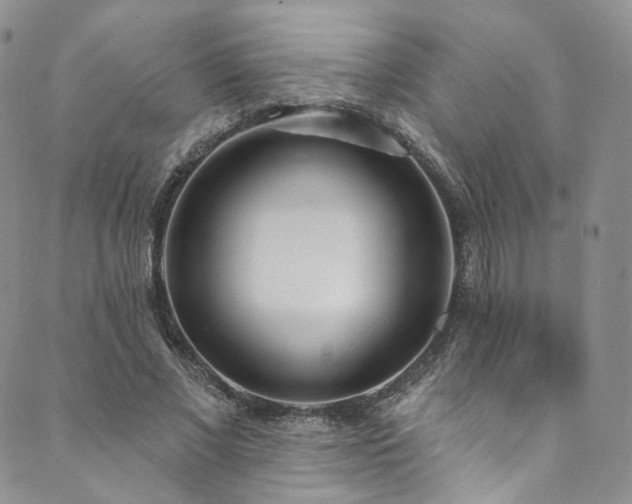 X0000089900685200706281448