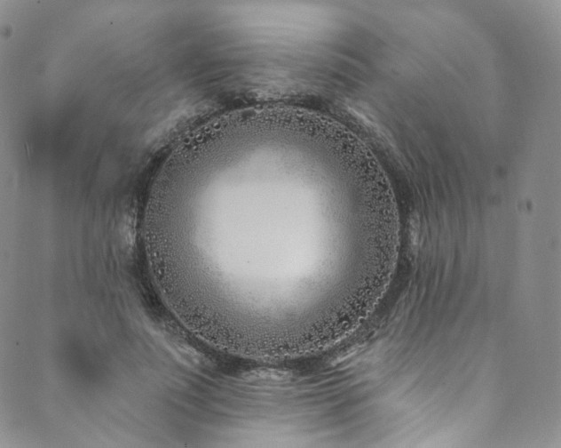 X0000089900691200706281448