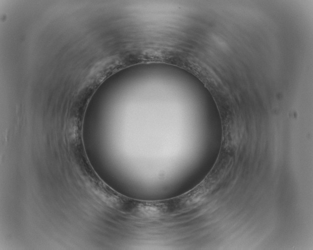 X0000089900706200706281447