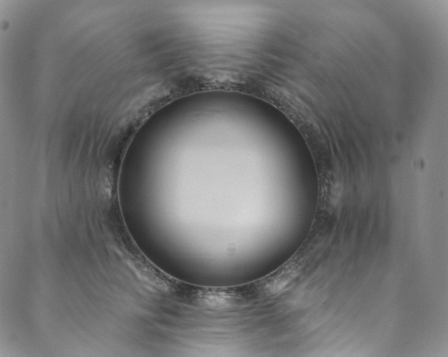 X0000089900710200706281447