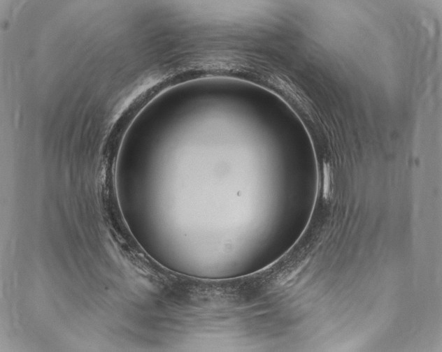 X0000089900723200706281446