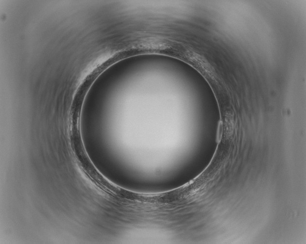 X0000089900726200706281446