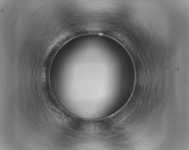 X0000089900731200706281446
