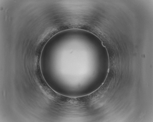 X0000089900742200706281447
