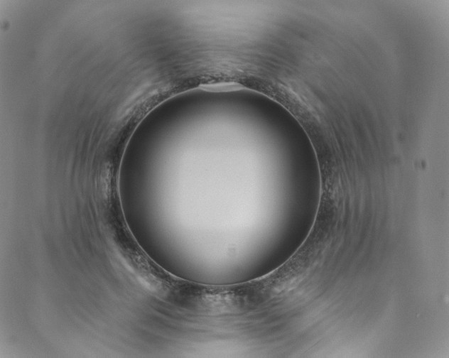 X0000089900744200706281447