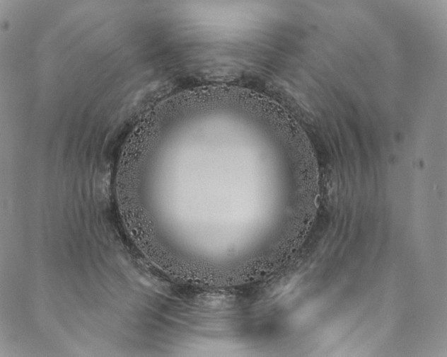 X0000089900745200706281447