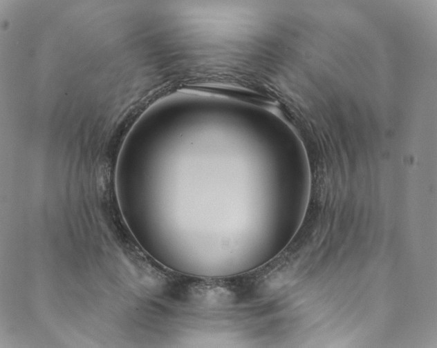 X0000089900747200706281447
