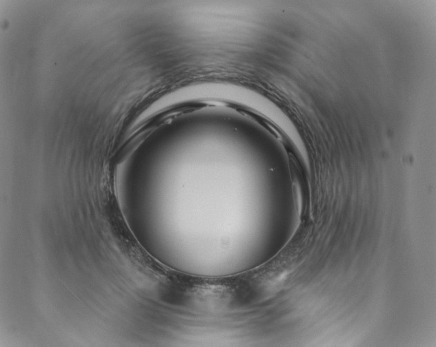 X0000089900748200706281447