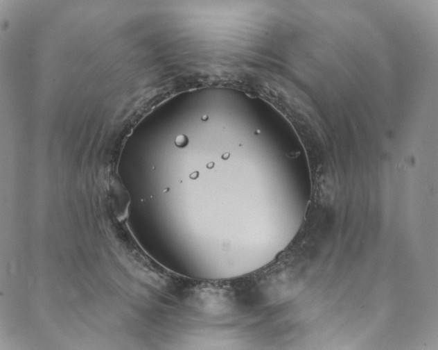 X0000089900756200706281447
