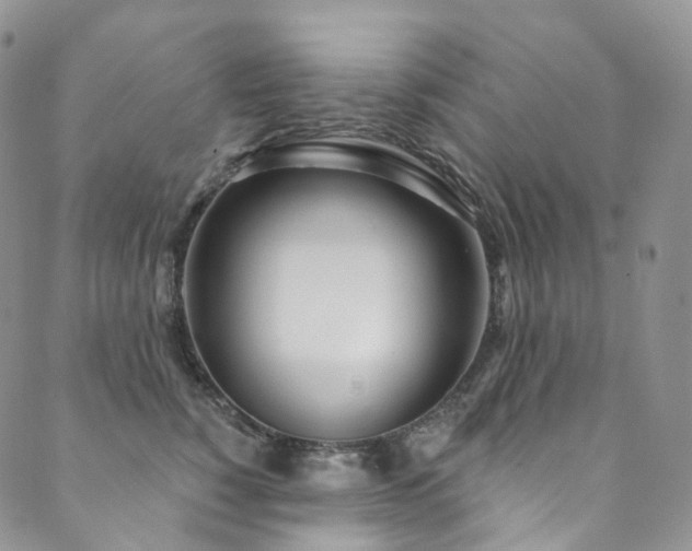 X0000089900760200706281447