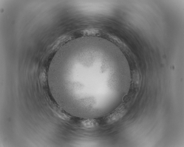 X0000089900761200706281447