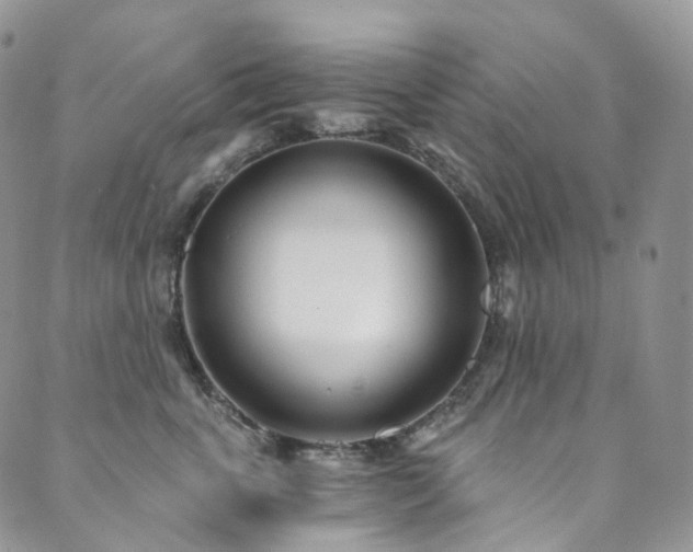 X0000089900763200706281447