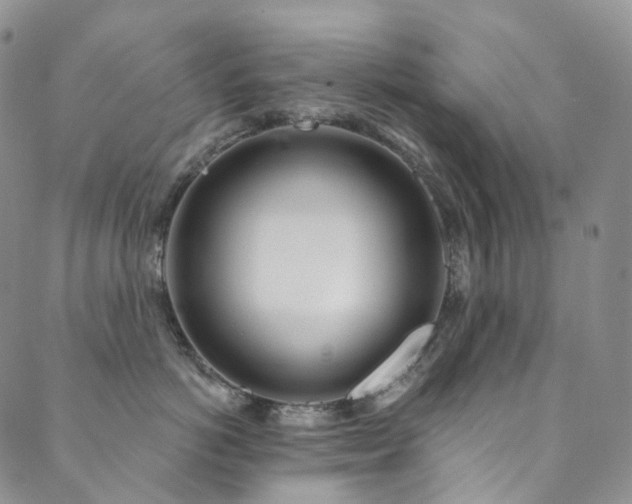 X0000089900766200706281447